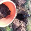 Biochar application to hole