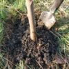 Biochar app 1